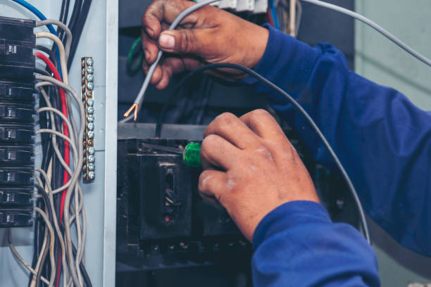 Best Electric Panel Repair  in Citrus Hills, FL